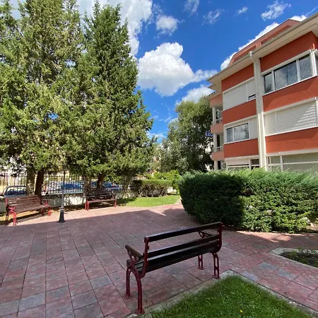 Gt Sunny Slăntjev Brjag