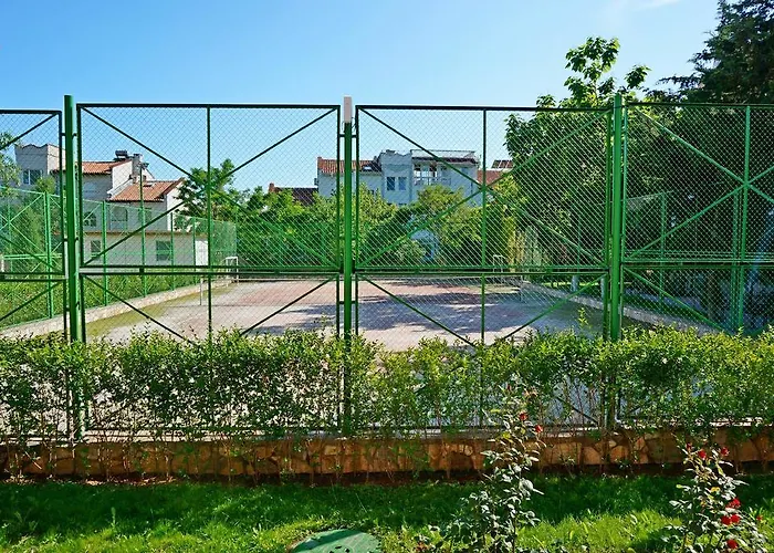 Gt Sunny Σάνι Μπιτς