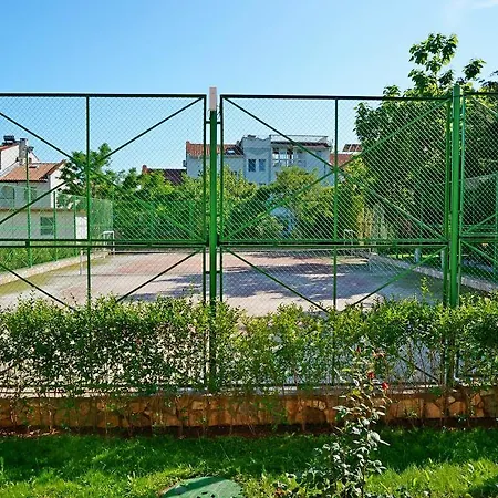 Gt Sunny Σάνι Μπιτς