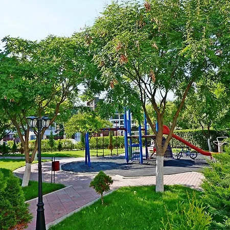 Gt Sunny * Σάνι Μπιτς